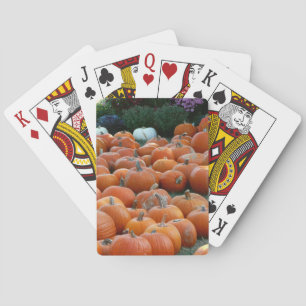 Jeu De Cartes Photographie de récolte d'automne des citrouilles 