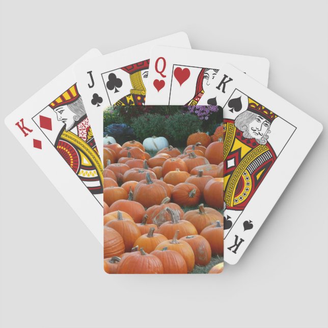 Jeu De Cartes Photographie de récolte d'automne des citrouilles  (dos)