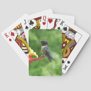 Jeu De Cartes Photographie d'oiseau Colibri à gorge rubis