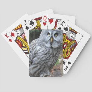Jeu De Cartes Photographie du portrait d'hibou