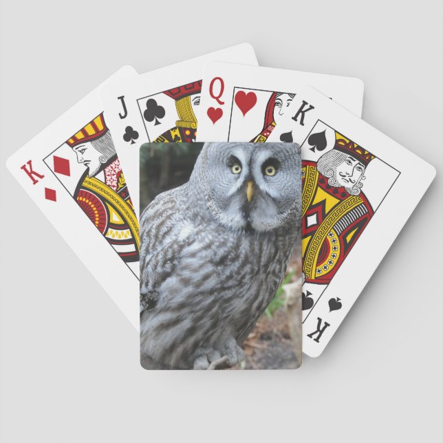 Jeu De Cartes Photographie du portrait d'hibou (dos)