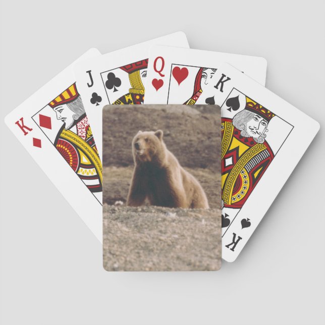 Jeu De Cartes Photos Conçues pour le Grizzli de la toundra de l' (dos)