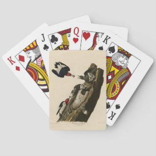 Jeu De Cartes Pic à tête rouge - Audubon's Birds of America