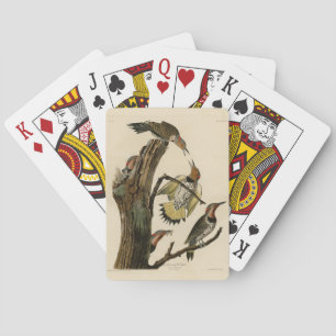 Jeu De Cartes Pic flamboyant d'après Les Oiseaux d'Amérique de A