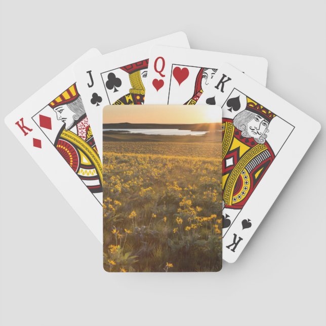 Jeu De Cartes Pied de flèche Balsamroot Fleurs sauvages (dos)