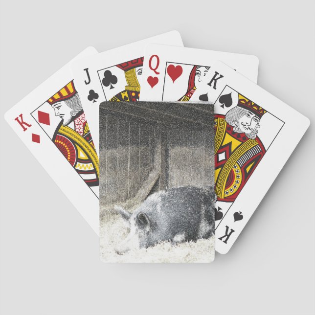 Jeu De Cartes Pig à jouer aux cartes (dos)