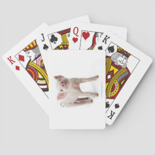 Jeu De Cartes Pig debout en regardant