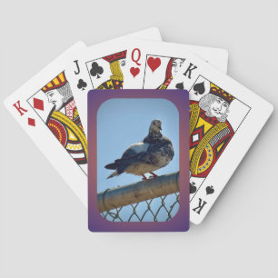 Jeu De Cartes Pigeon