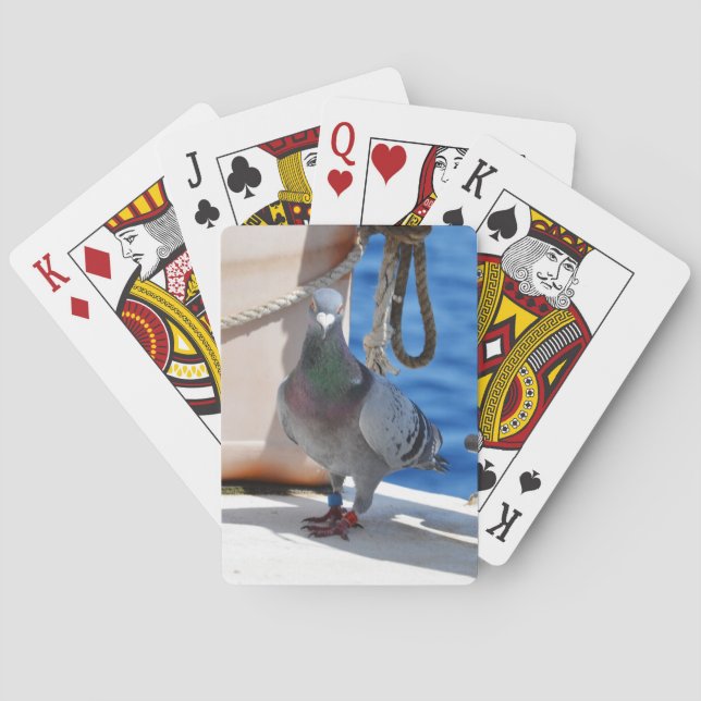 Jeu De Cartes Pigeon (dos)