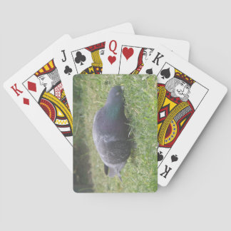 Jeu De Cartes Pigeon Dormant Jouer aux cartes