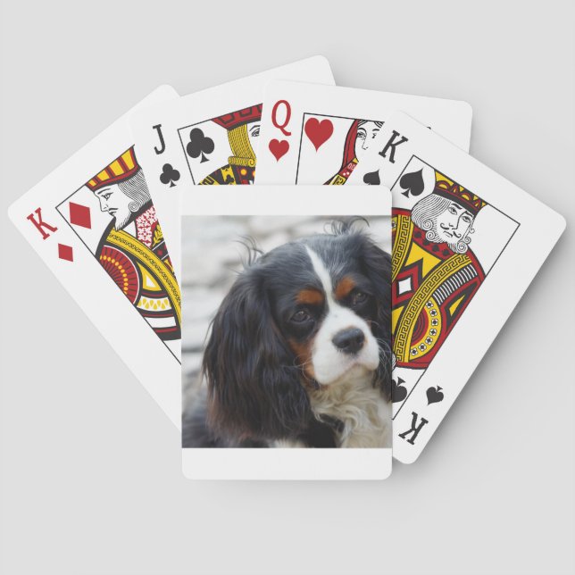 Jeu De Cartes pile 2 (dos)