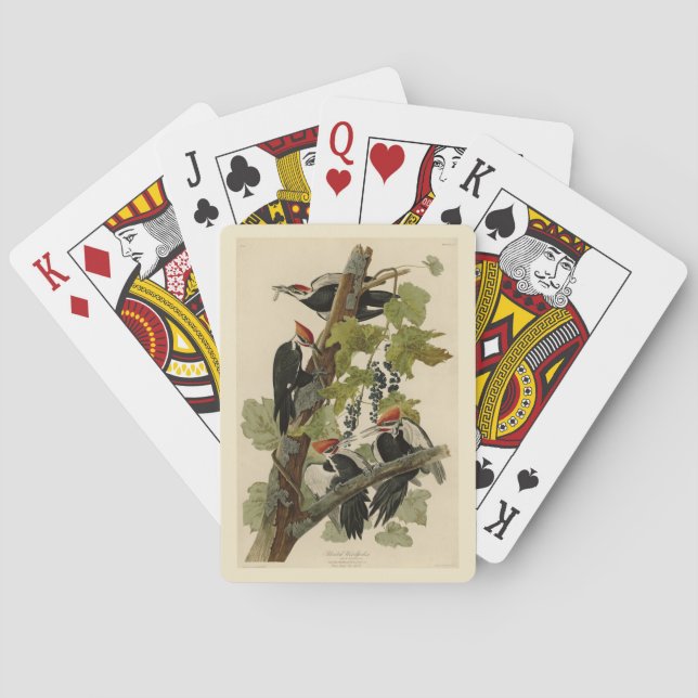 Jeu De Cartes Pileated Woodpecker from Audubon Birds of America (dos)