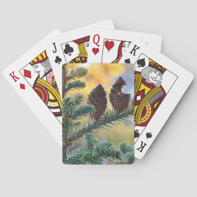 Jeu De Cartes Pine cônes Bois paysage naturel (dos)