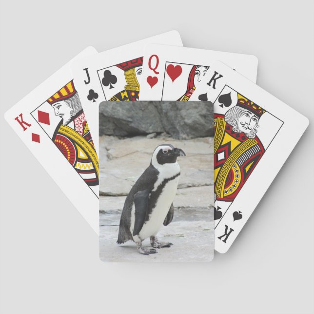 Jeu De Cartes Pingouin noir et blanc sur les rochers (dos)