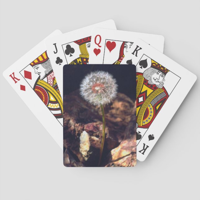 Jeu De Cartes Pissenlit (dos)