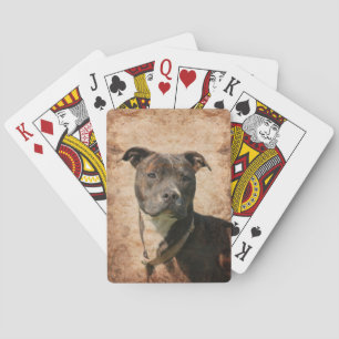 Jeu De Cartes Pit Bull Terrier