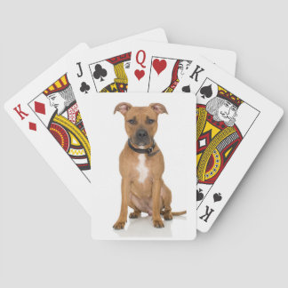 Jeu De Cartes Pitbull