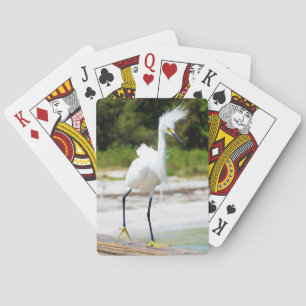 Jeu De Cartes Planche d'aigrettes soufflées