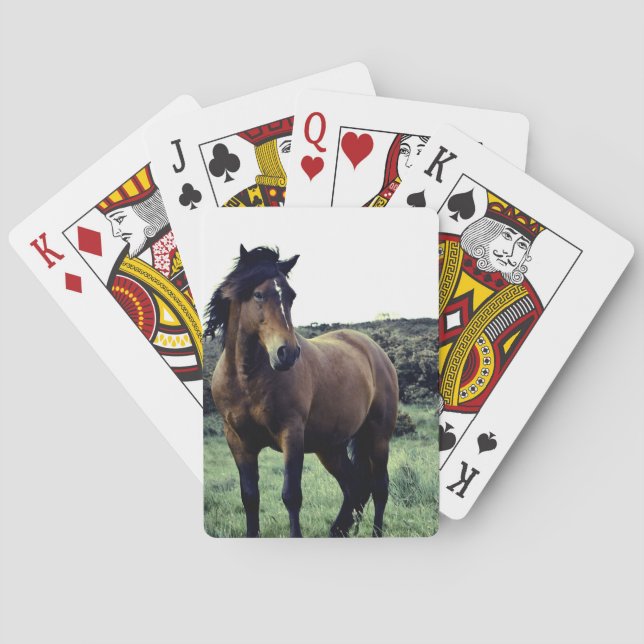 Jeu De Cartes Planche de cartes Wild Mustang (dos)