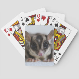 Jeu De Cartes planeur à sucre jouant aux cartes
