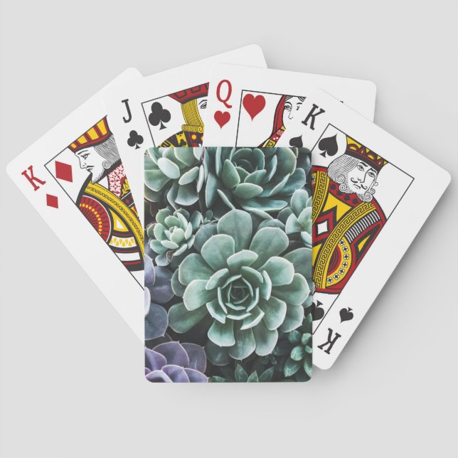 Jeu De Cartes Plantes vertes succulentes Nature (dos)