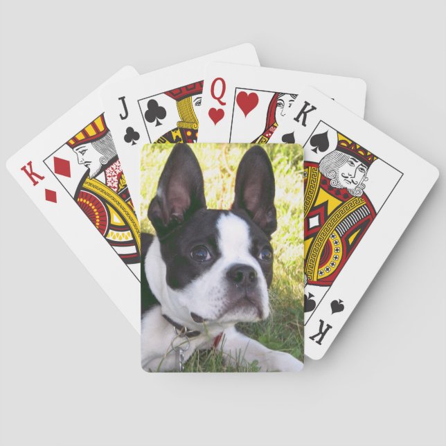 Jeu De Cartes Plaque de cartes Boston Terrier Pup (dos)