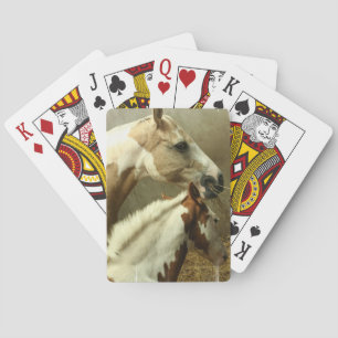 Jeu De Cartes Plate-forme de cheval de concours complet des