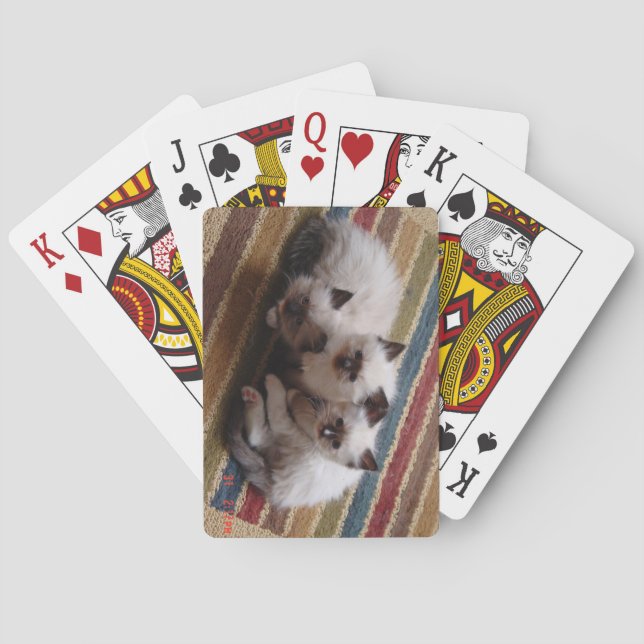 Jeu De Cartes Plate-forme de Ragdoll des cartes (dos)