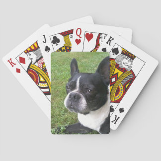 Jeu De Cartes plate-forme des cartes de jeu, avec le terrier de