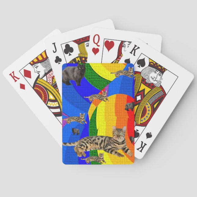 Jeu De Cartes Playing Card Deck (dos)