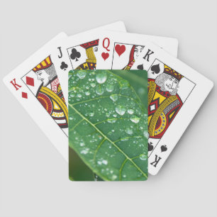 Jeu De Cartes Pluies sur la feuille de Papaya tropicale
