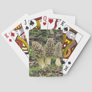 Jeu De Cartes Plus de Morels