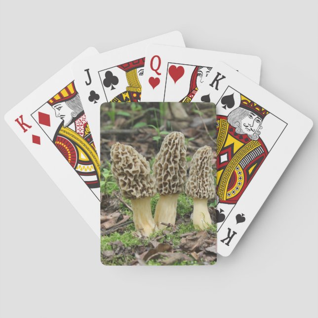 Jeu De Cartes Plus de Morels (dos)