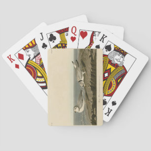 Jeu De Cartes Pluvier siffleur des oiseaux d'Amérique d'Audubon