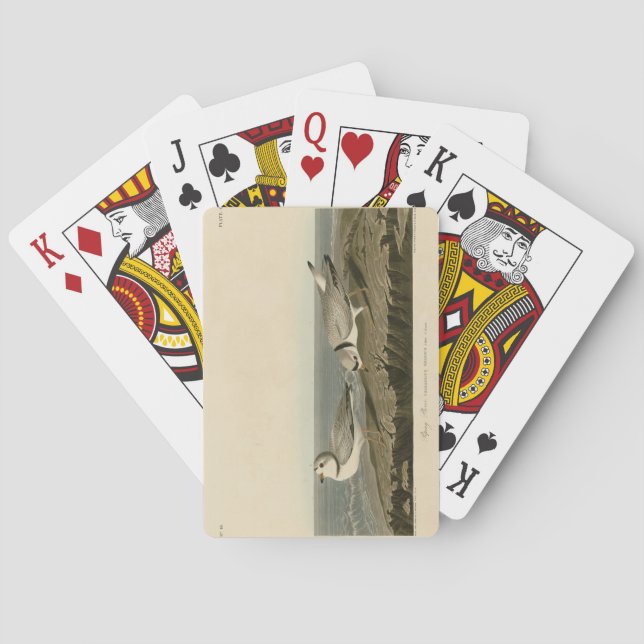 Jeu De Cartes Pluvier siffleur des oiseaux d'Amérique d'Audubon (dos)