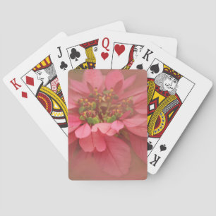 Jeu De Cartes Poinsettias Rose Teinté Art Numérique