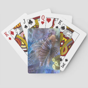 Jeu De Cartes Poisson