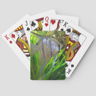 Jeu De Cartes Poisson ange