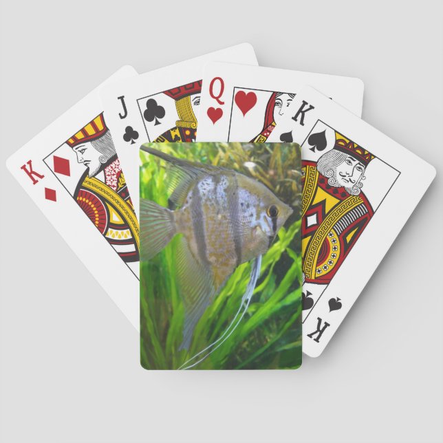 Jeu De Cartes Poisson ange (dos)