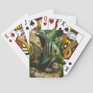 Jeu De Cartes Poisson-ange altum rayé