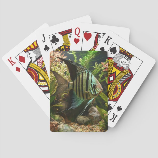 Jeu De Cartes Poisson-ange altum rayé (dos)