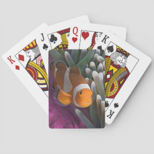 Jeu De Cartes Poisson clown occidental