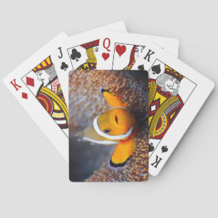 Jeu De Cartes Poisson de récif tropical - Poisson clown