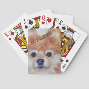 JEU DE CARTES POMERANIEN EN OR CUTE