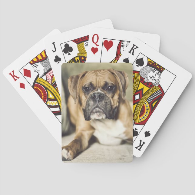 Jeu De Cartes Pompe de boîte de réception (dos)