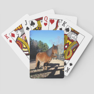 Jeu De Cartes Poney brun ciel turquoise