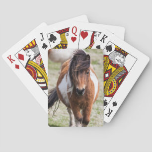 Jeu De Cartes Poney Shetland, îles Shetland