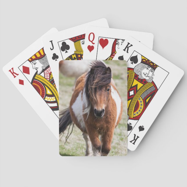 Jeu De Cartes Poney Shetland, îles Shetland (dos)