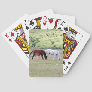 Jeu De Cartes Pont de cartes, Cheval Famille de pâturage photo