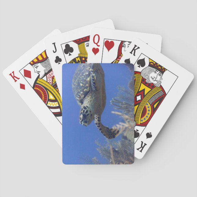 Jeu De Cartes Pont de Poker à vélo Tortue (dos)
